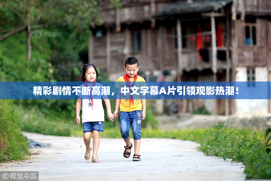 精彩剧情不断高潮，中文字幕A片引领观影热潮！