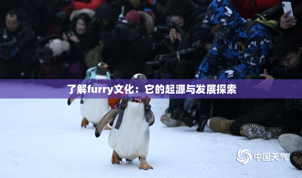 了解furry文化：它的起源与发展探索