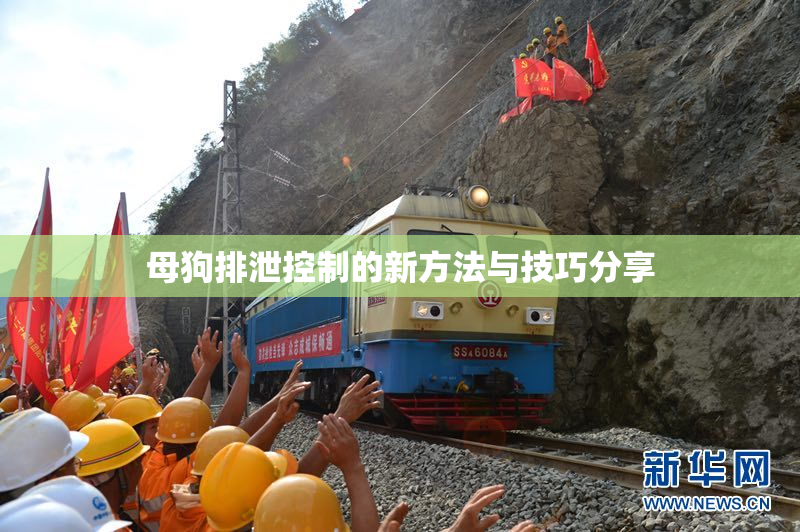 母狗排泄控制的新方法与技巧分享