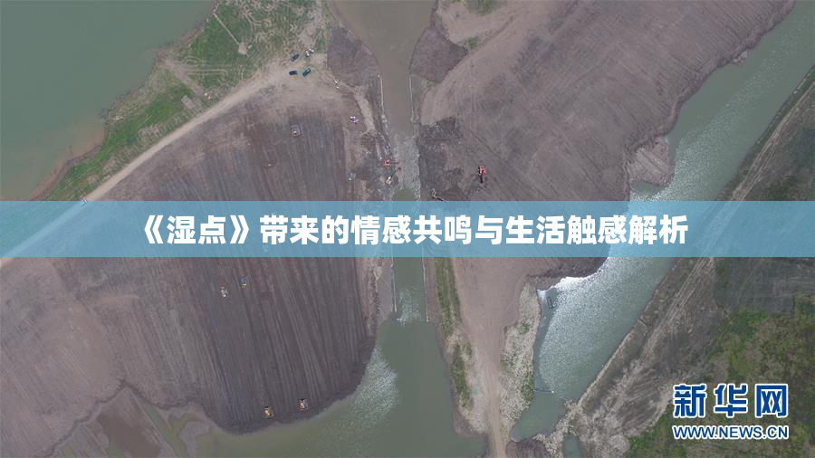 《湿点》带来的情感共鸣与生活触感解析