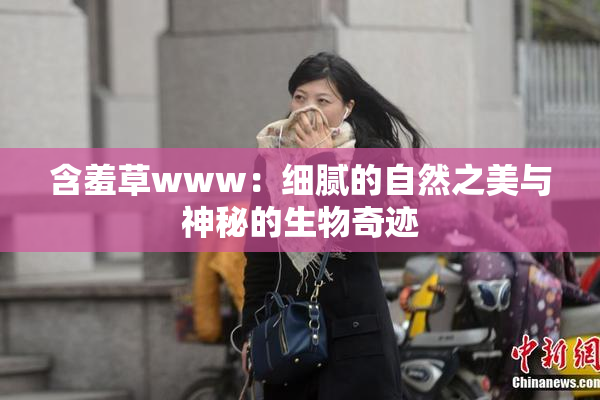 含羞草www：细腻的自然之美与神秘的生物奇迹