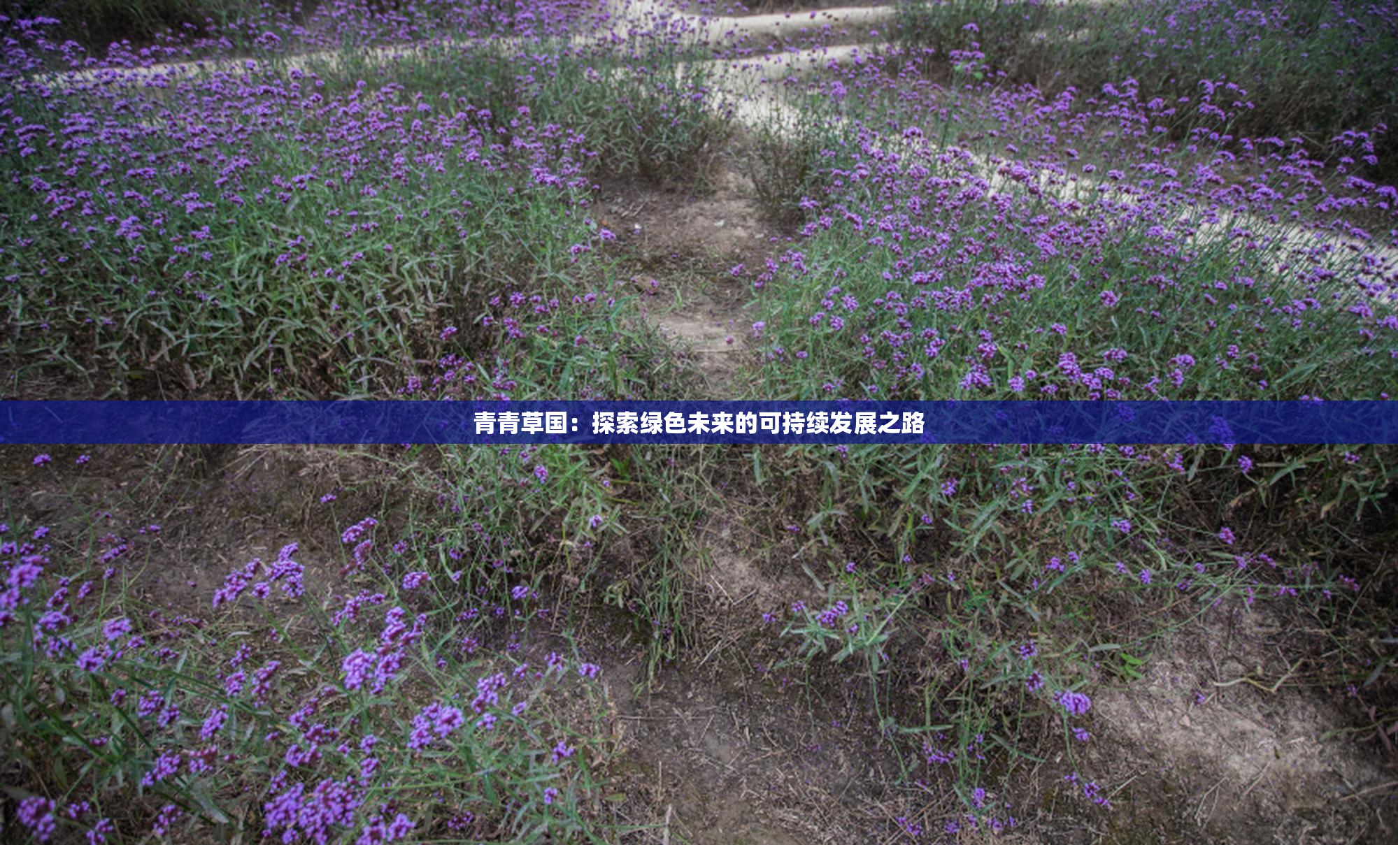 青青草国：探索绿色未来的可持续发展之路