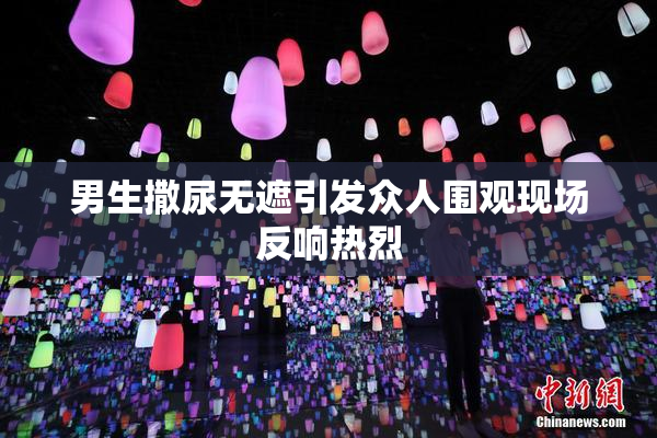 男生撒尿无遮引发众人围观现场反响热烈