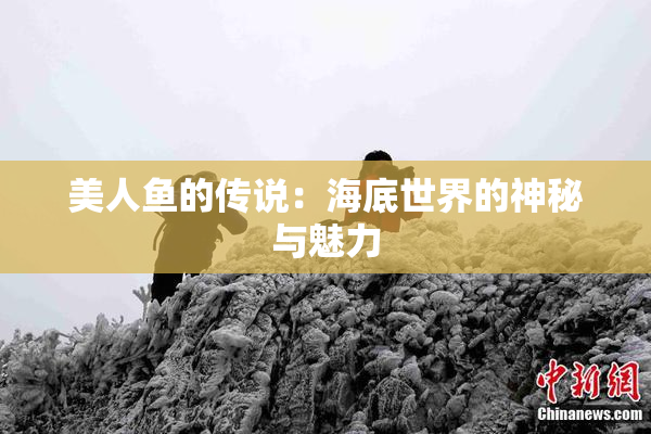 美人鱼的传说：海底世界的神秘与魅力