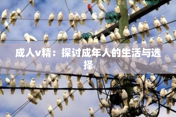 成人v精：探讨成年人的生活与选择