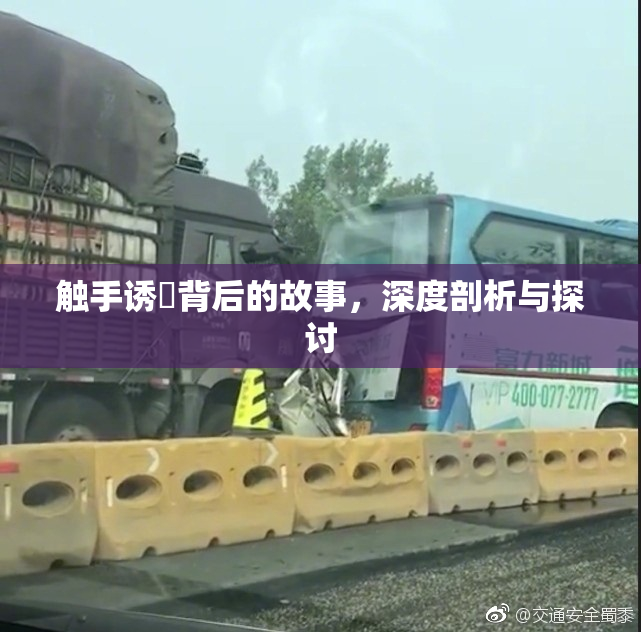 触手诱奷背后的故事，深度剖析与探讨