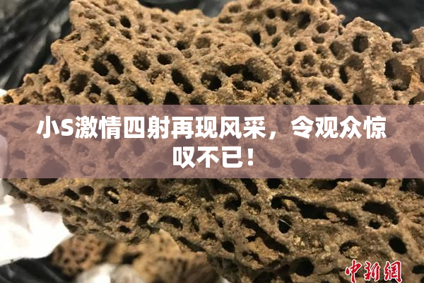 小S激情四射再现风采，令观众惊叹不已！