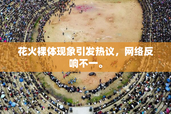 花火裸体现象引发热议，网络反响不一。