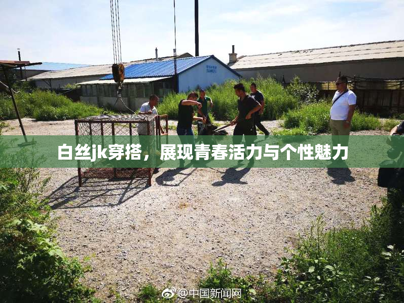白丝jk穿搭，展现青春活力与个性魅力