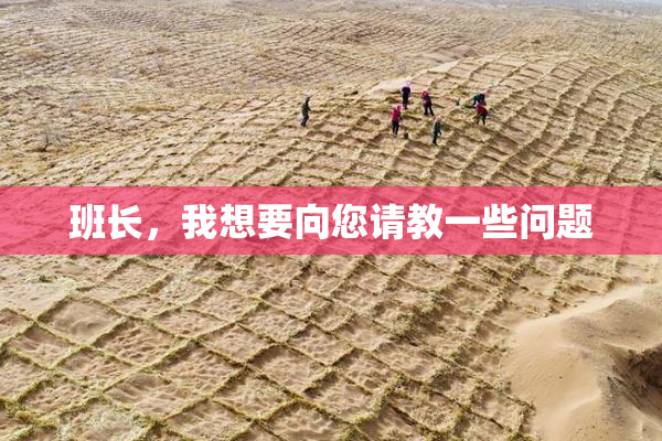 班长，我想要向您请教一些问题