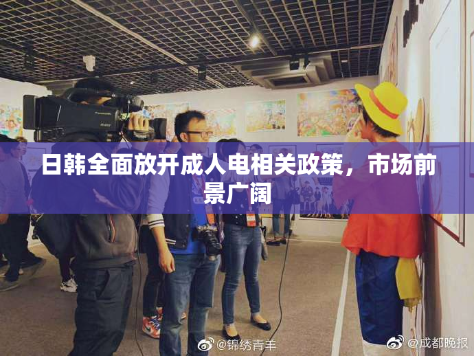 日韩全面放开成人电相关政策，市场前景广阔