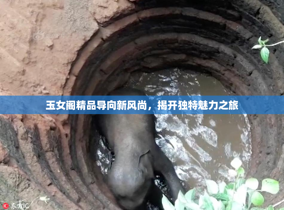 玉女阁精品导向新风尚，揭开独特魅力之旅