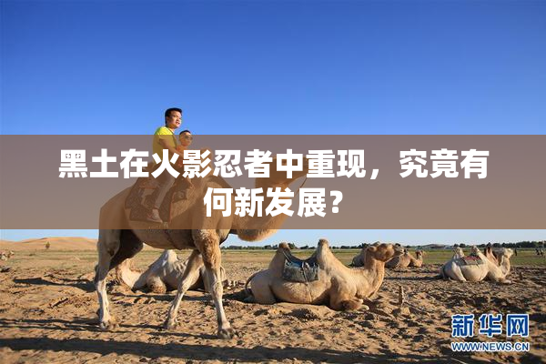 黑土在火影忍者中重现，究竟有何新发展？