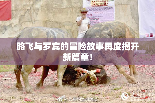 路飞与罗宾的冒险故事再度揭开新篇章！