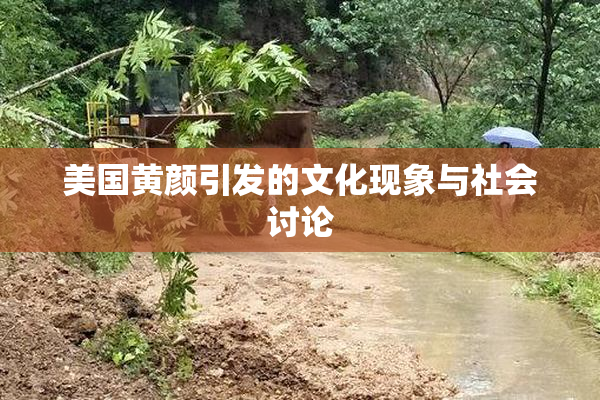 美国黄颜引发的文化现象与社会讨论