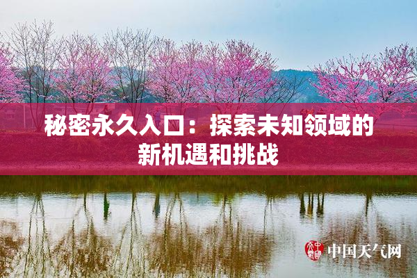 秘密永久入口：探索未知领域的新机遇和挑战