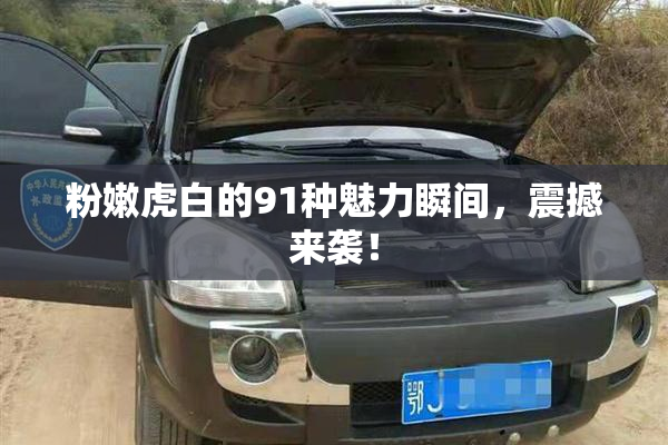 粉嫩虎白的91种魅力瞬间，震撼来袭！