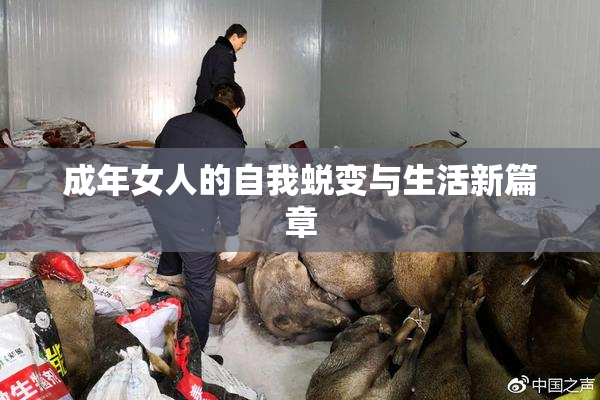 成年女人的自我蜕变与生活新篇章