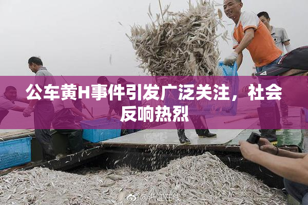 公车黄H事件引发广泛关注，社会反响热烈