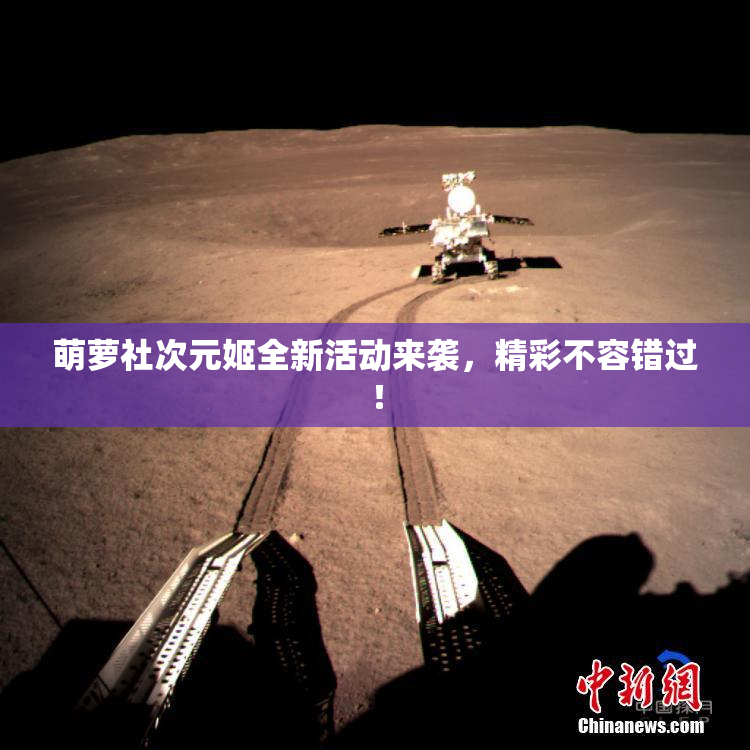 萌萝社次元姬全新活动来袭，精彩不容错过！