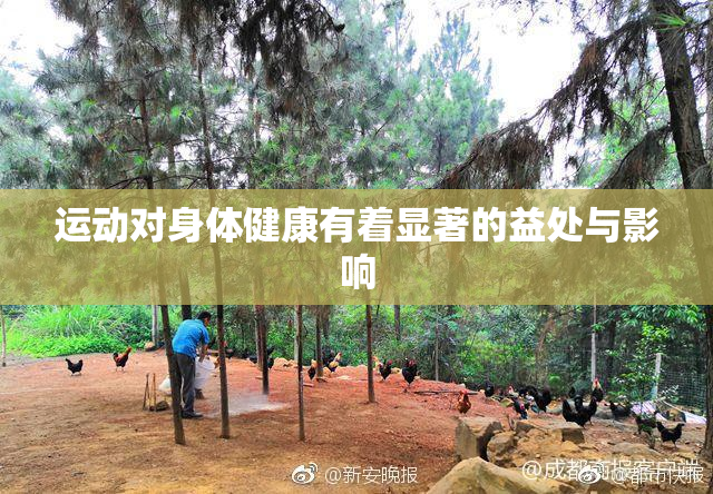 运动对身体健康有着显著的益处与影响