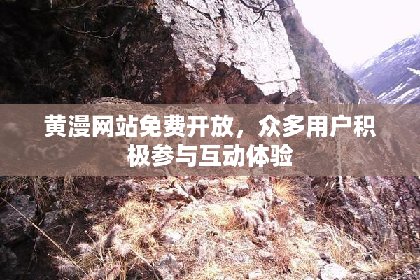 黄漫网站免费开放，众多用户积极参与互动体验