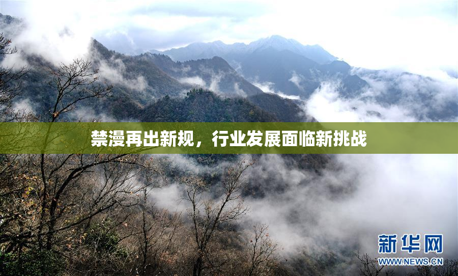 禁漫再出新规，行业发展面临新挑战