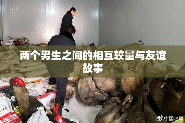 两个男生之间的相互较量与友谊故事