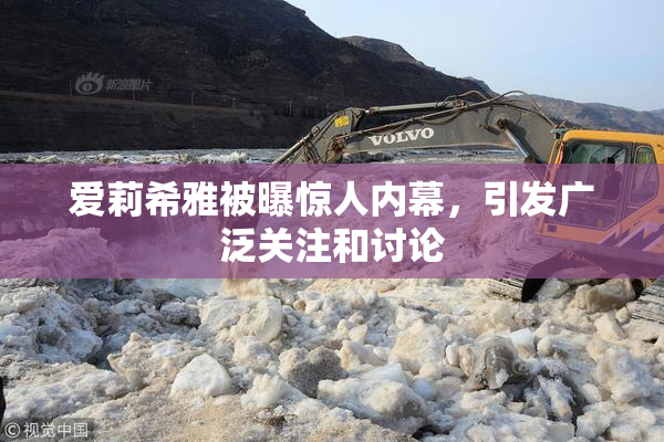 爱莉希雅被曝惊人内幕，引发广泛关注和讨论
