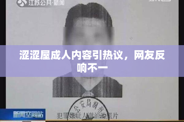 涩涩屋成人内容引热议，网友反响不一