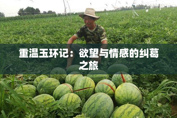 重温玉环记：欲望与情感的纠葛之旅