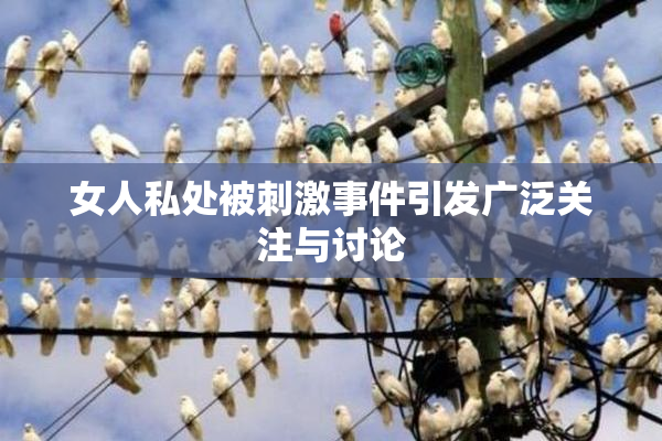 女人私处被刺激事件引发广泛关注与讨论