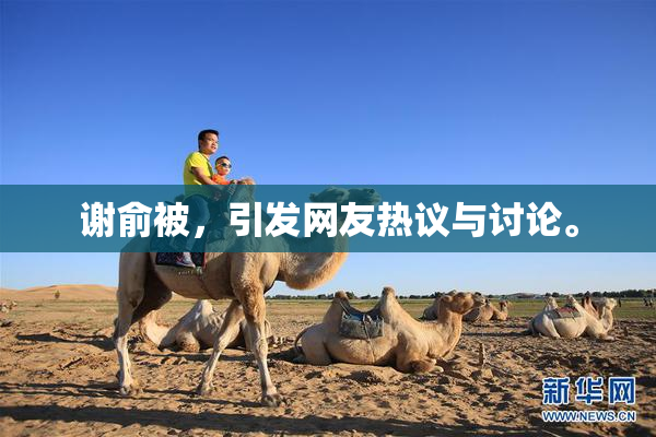 谢俞被，引发网友热议与讨论。