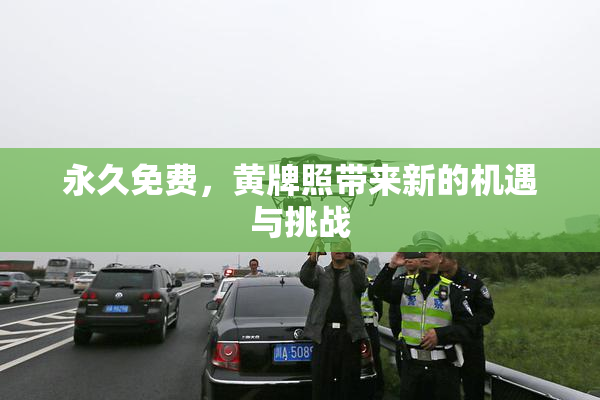 永久免费，黄牌照带来新的机遇与挑战