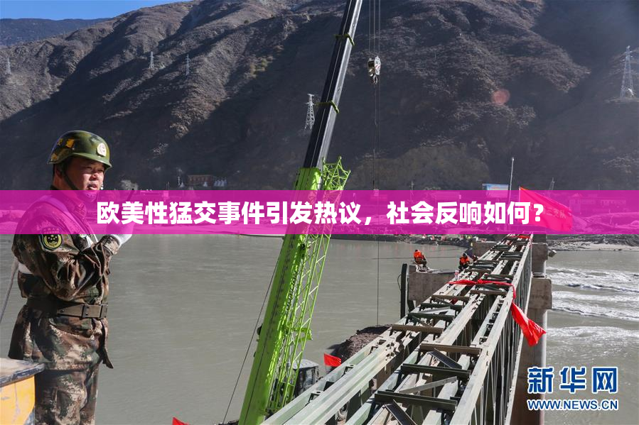 欧美性猛交事件引发热议，社会反响如何？