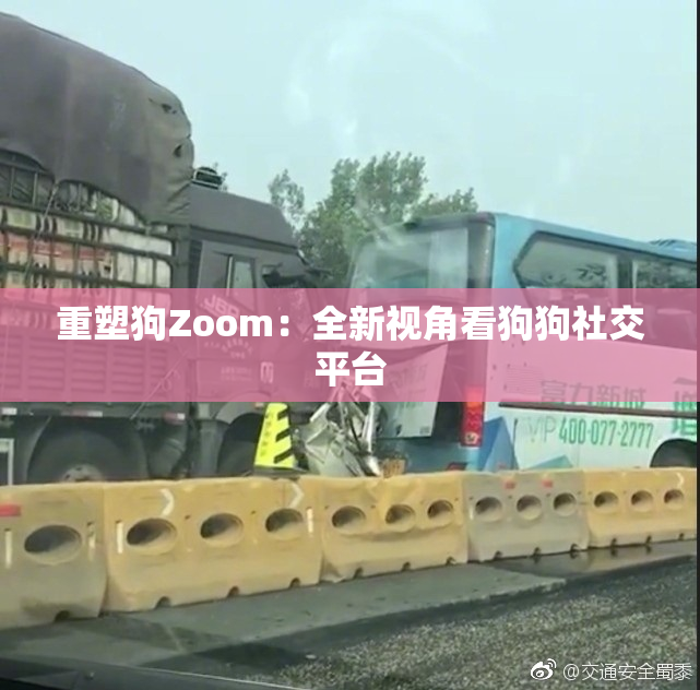 重塑狗Zoom：全新视角看狗狗社交平台