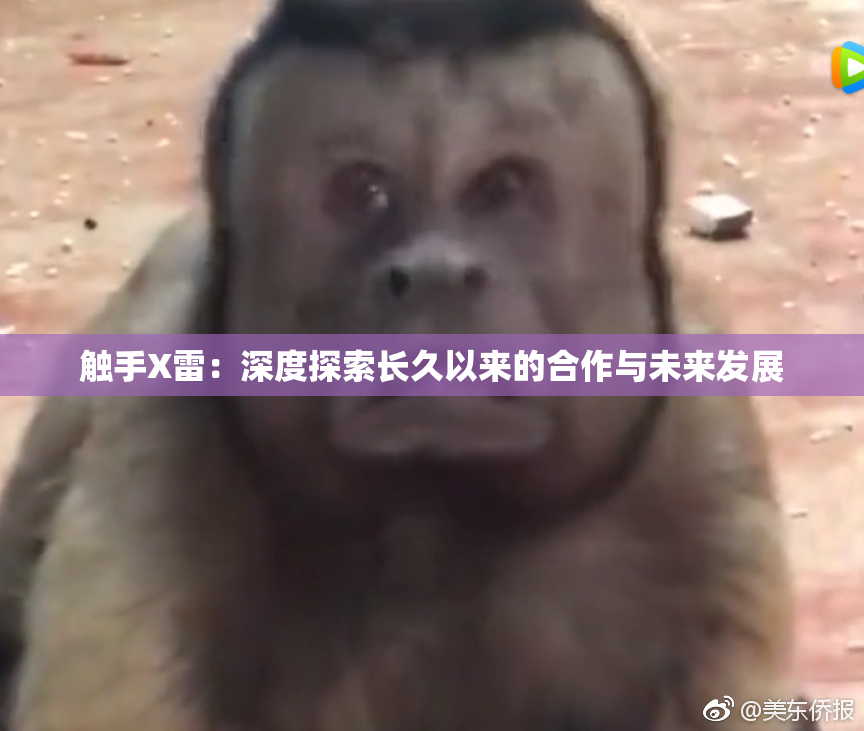 触手X雷：深度探索长久以来的合作与未来发展