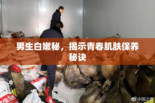 男生白嫩秘，揭示青春肌肤保养秘诀