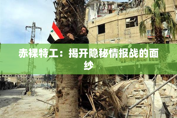 赤裸特工：揭开隐秘情报战的面纱