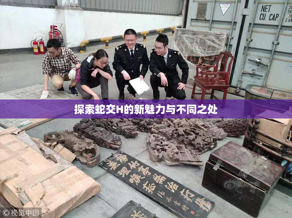 探索蛇交H的新魅力与不同之处
