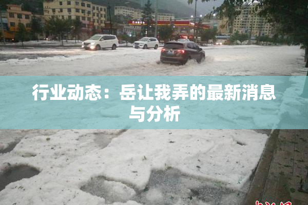 行业动态：岳让我弄的最新消息与分析