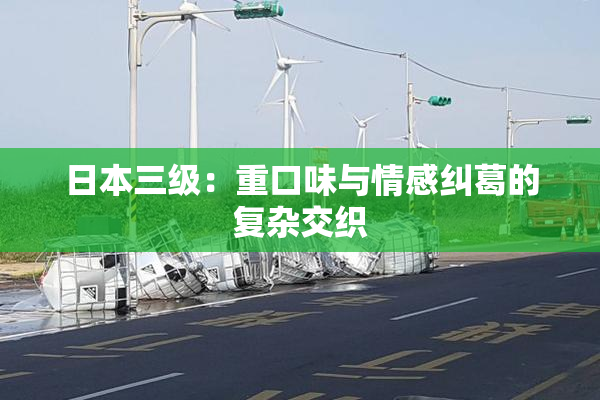 日本三级：重口味与情感纠葛的复杂交织
