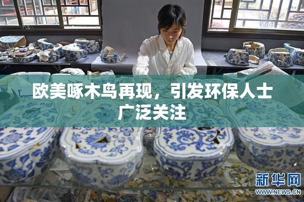 欧美啄木鸟再现，引发环保人士广泛关注