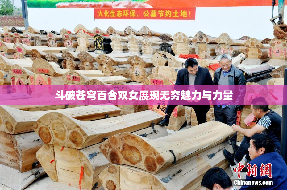 斗破苍穹百合双女展现无穷魅力与力量