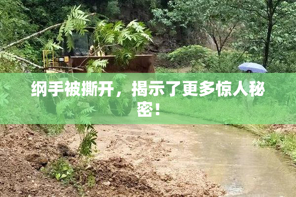 纲手被撕开，揭示了更多惊人秘密！