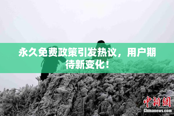 永久免费政策引发热议，用户期待新变化！