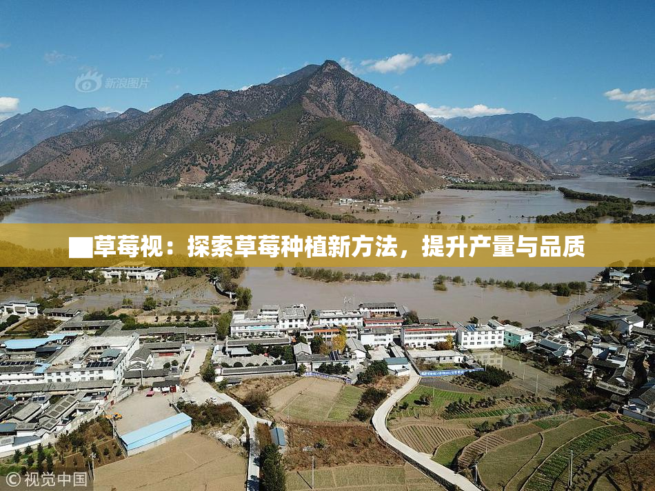 ▇草莓视：探索草莓种植新方法，提升产量与品质