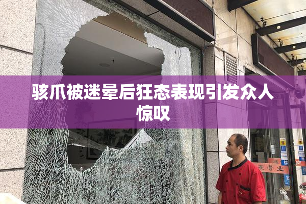 骇爪被迷晕后狂态表现引发众人惊叹
