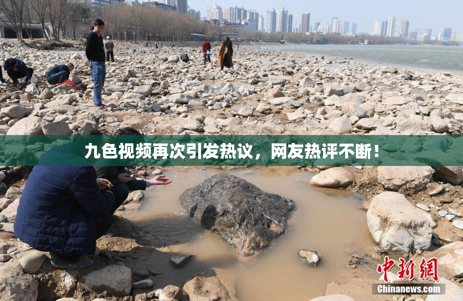 九色视频再次引发热议，网友热评不断！