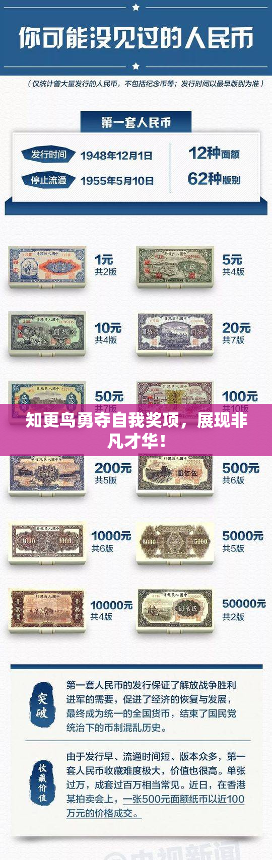 知更鸟勇夺自我奖项，展现非凡才华！